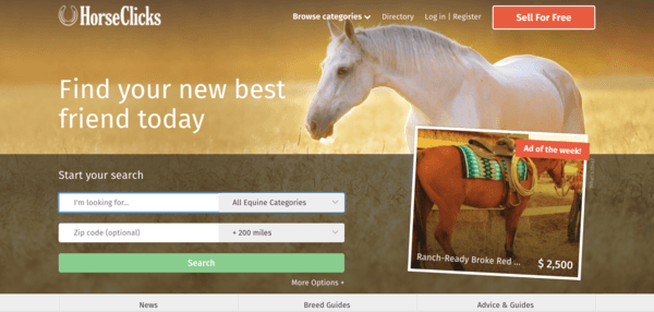 picture of horseclicks.com homepage