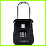 picture of lion locks 2100