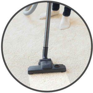 picture of a carpet being shampooed