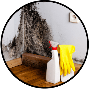 How To Get Rid Of Musty Smell In Basement (& Keep Away For ...