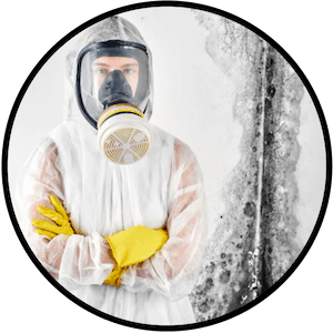 picture of professional mold removal