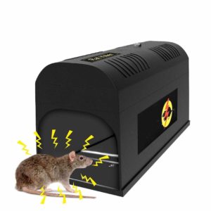 picture of an electrical mouse trap