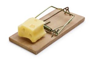 picture of a mouse trap with cheese as bait