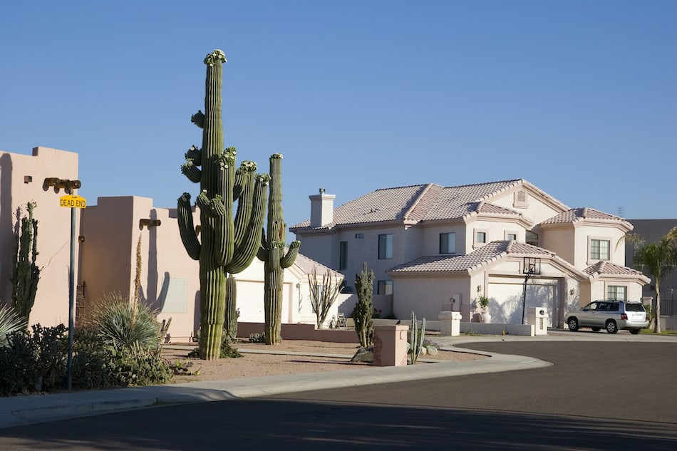 picture of Phoenix Arizona Cul-de-sac with Saguaro Cacti in Front Adobe House