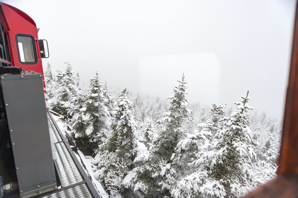 First snow of season covers pine trees along Cog Railway on Mount Washington