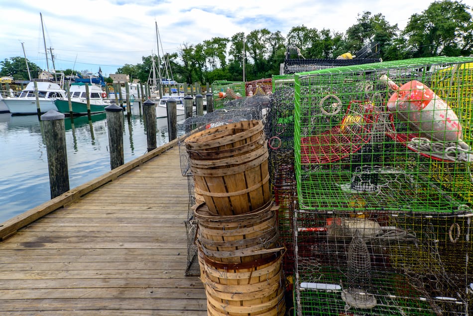 picture of blue crab traps in Maryland