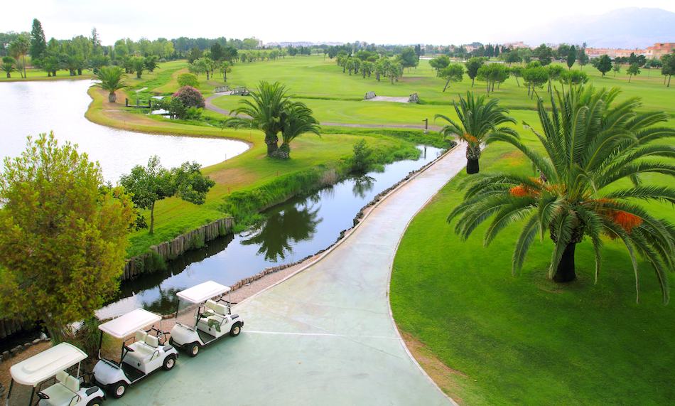 Golf course lakes palm trees green grass aerial view