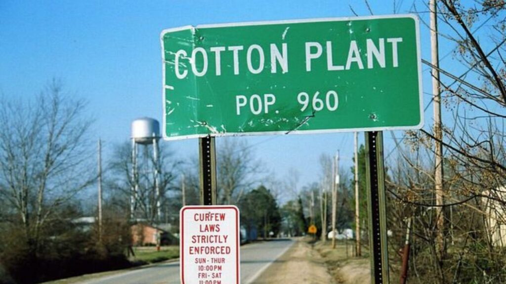 72036 Cotton Plant AR