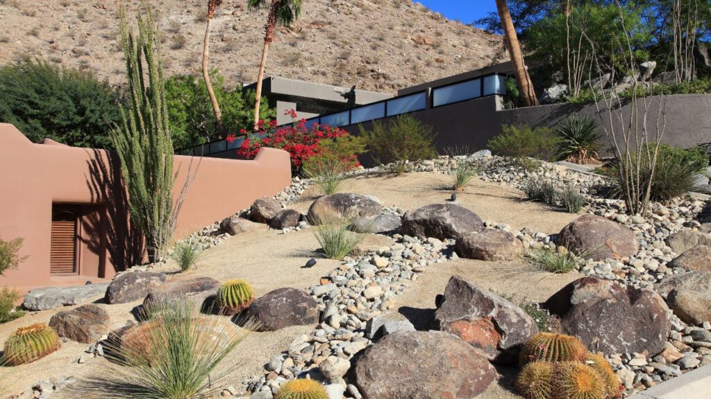 Blossoming Beauty The Rewards of Xeriscaping