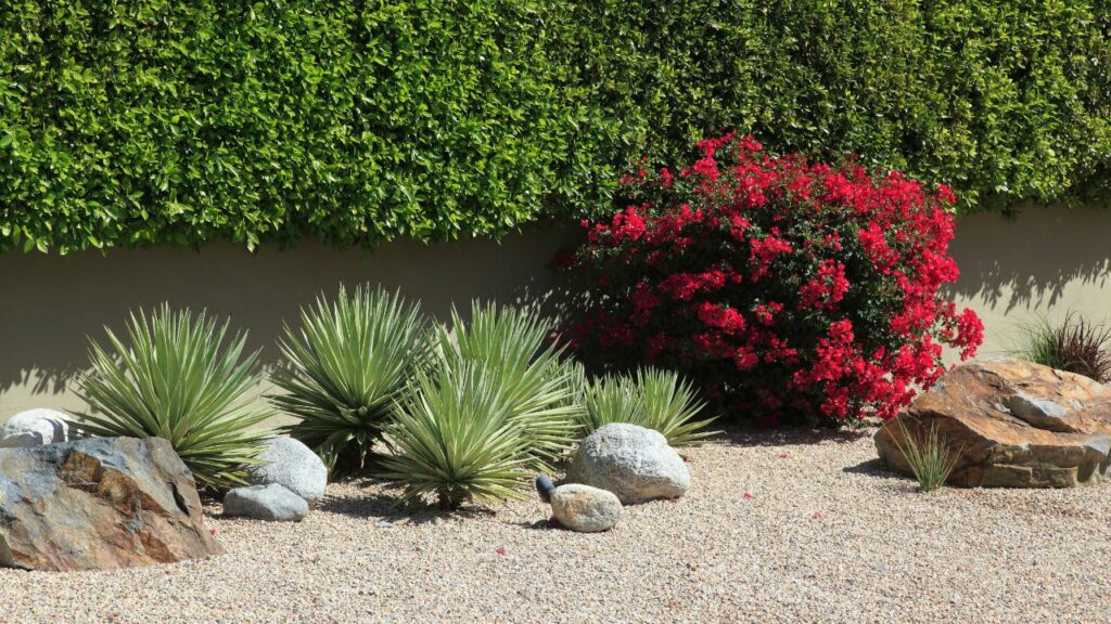 Supporting the Adoption of Xeriscaping