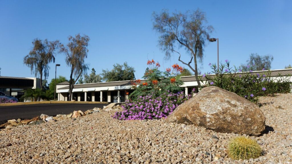 The Perception of Xeriscaping